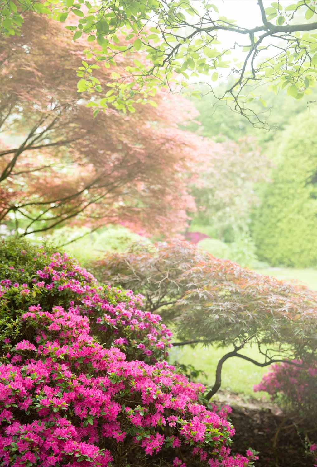 Malente, Holsteinische Schweiz Julia´s Garden, Gardening, Garden style, Plant Paradise, Outdoor feeling