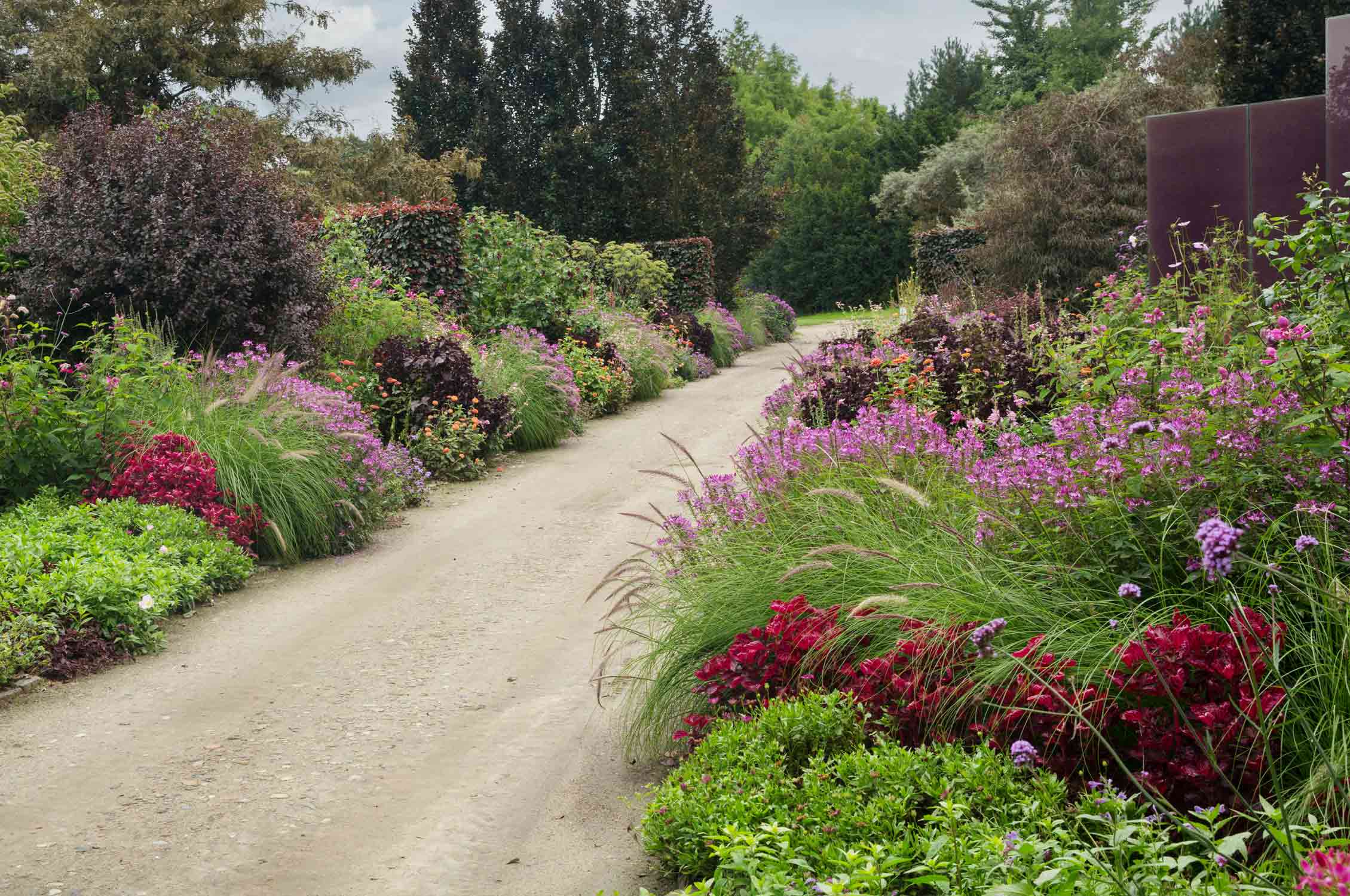 Arboretum Northern Germany, Garden, Gardening, Garten, Pflanzen, Plants, Outdoor, Draußen, grün, green,