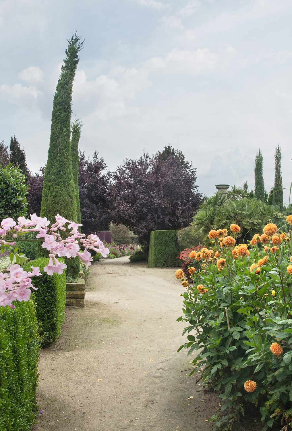 Arboretum Northern Germany, Garden, Gardening, Garten, Pflanzen, Plants, Outdoor, Draußen, grün, green,