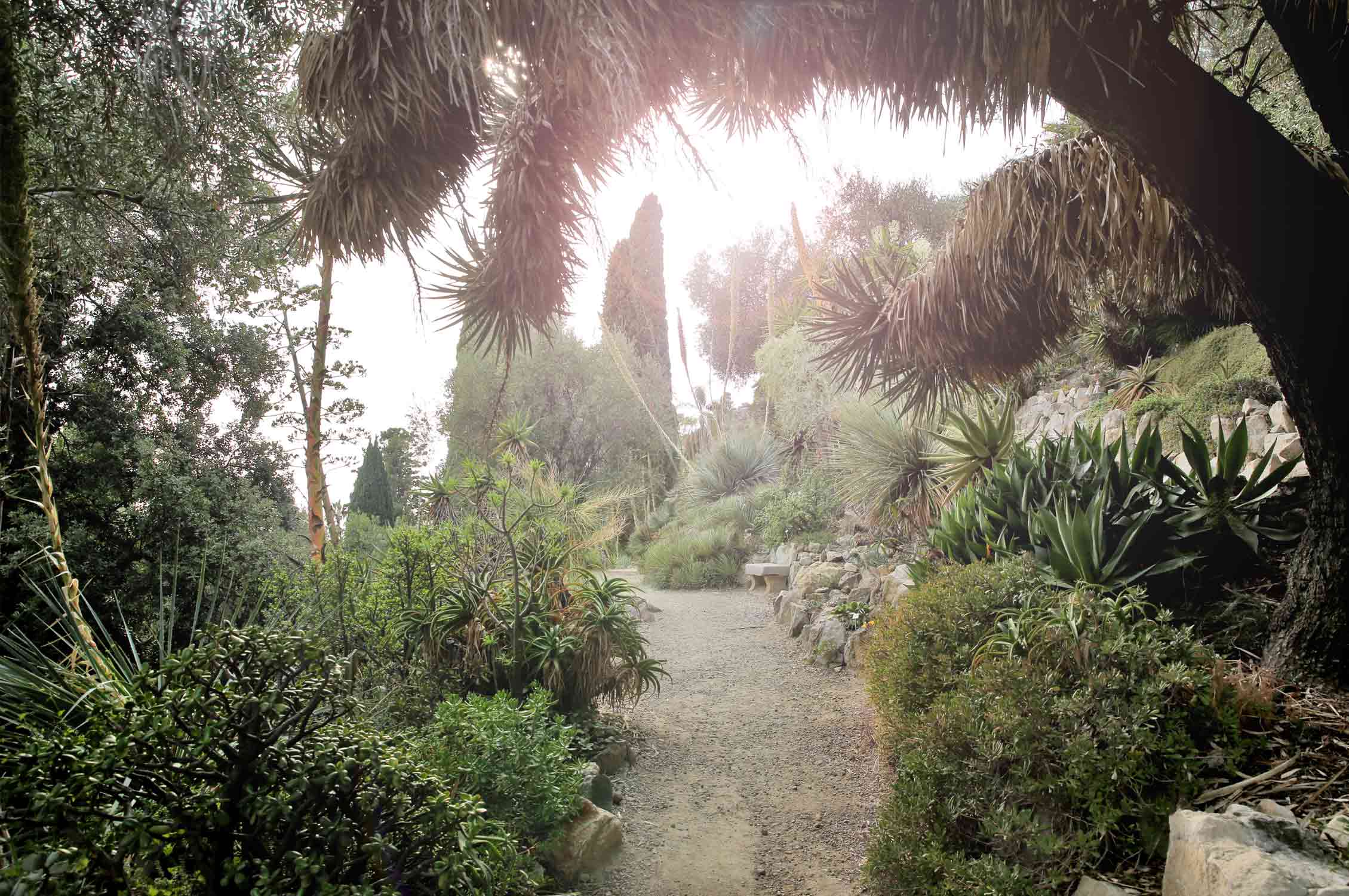 Mediterranean garden France, Gardening, Garten, Pflanzen, Plants, Outdoor, Draußen, grün, green, grüner Daumen, green Thumb, mediterranean, mediterran