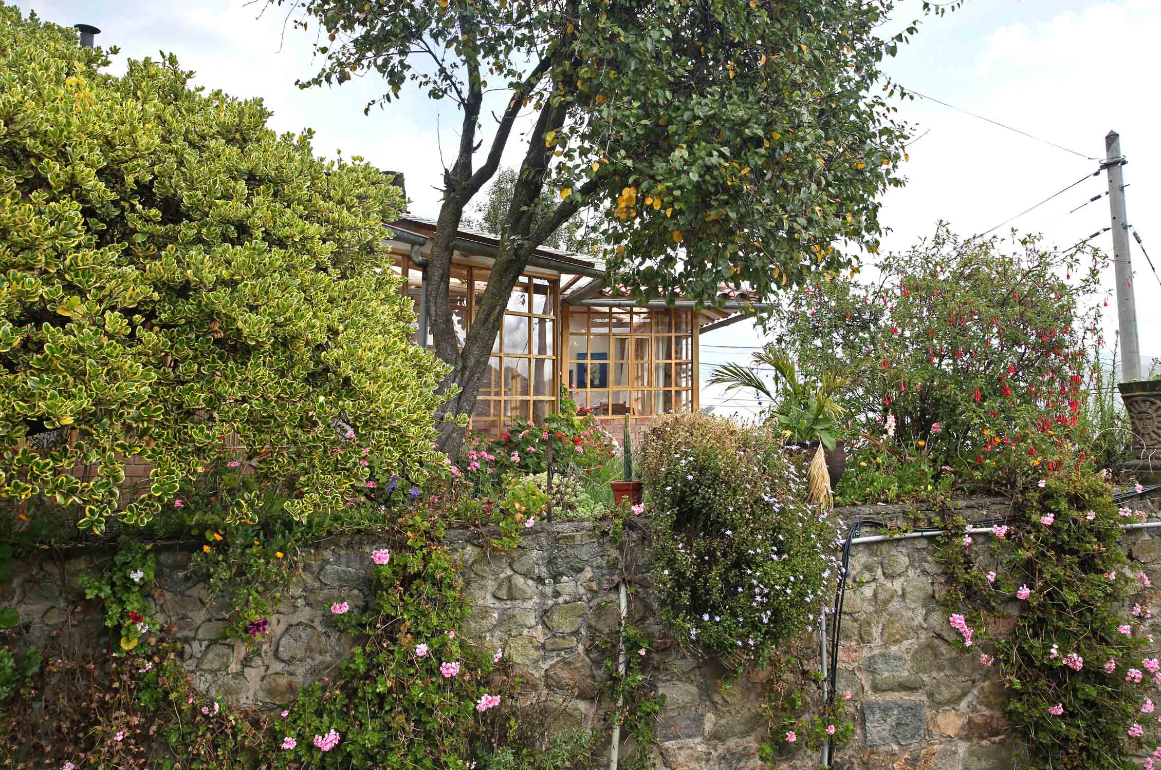 School garden Cusco, Peru, Gardening, Garten, Pflanzen, Plants, Outdoor, Draußen, grün, green, grüner Daumen, green Thumb, Schulgarten, Campus
