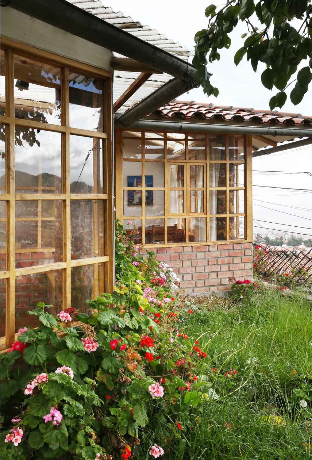 School garden Cusco, Peru, Gardening, Garten, Pflanzen, Plants, Outdoor, Draußen, grün, green, grüner Daumen, green Thumb, Schulgarten, Campus