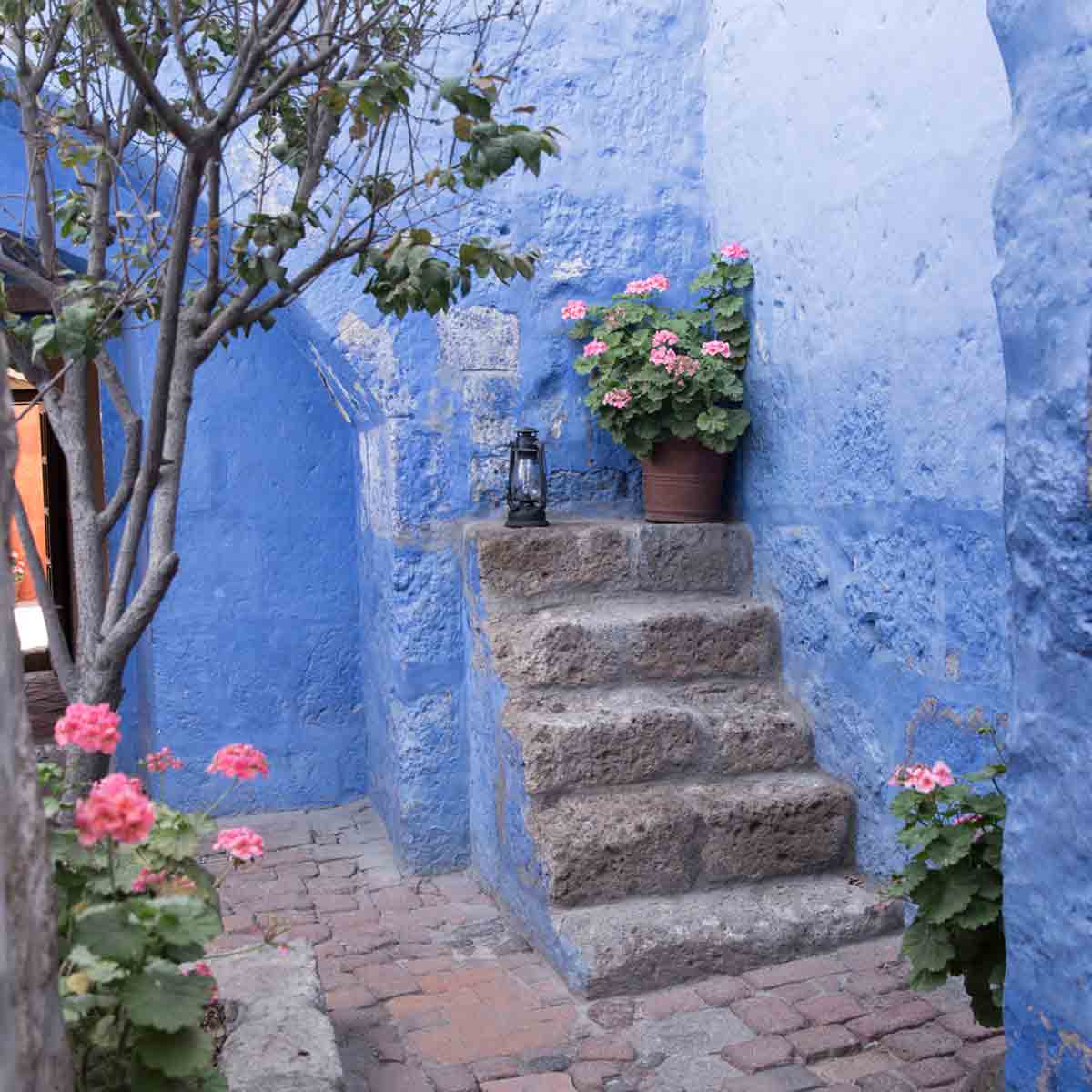 Monastery Arequipa, Peru, Gardening, Garten, Pflanzen, Plants, Outdoor, Draußen, grün, green, grüner Daumen, green Thumb, Kloster