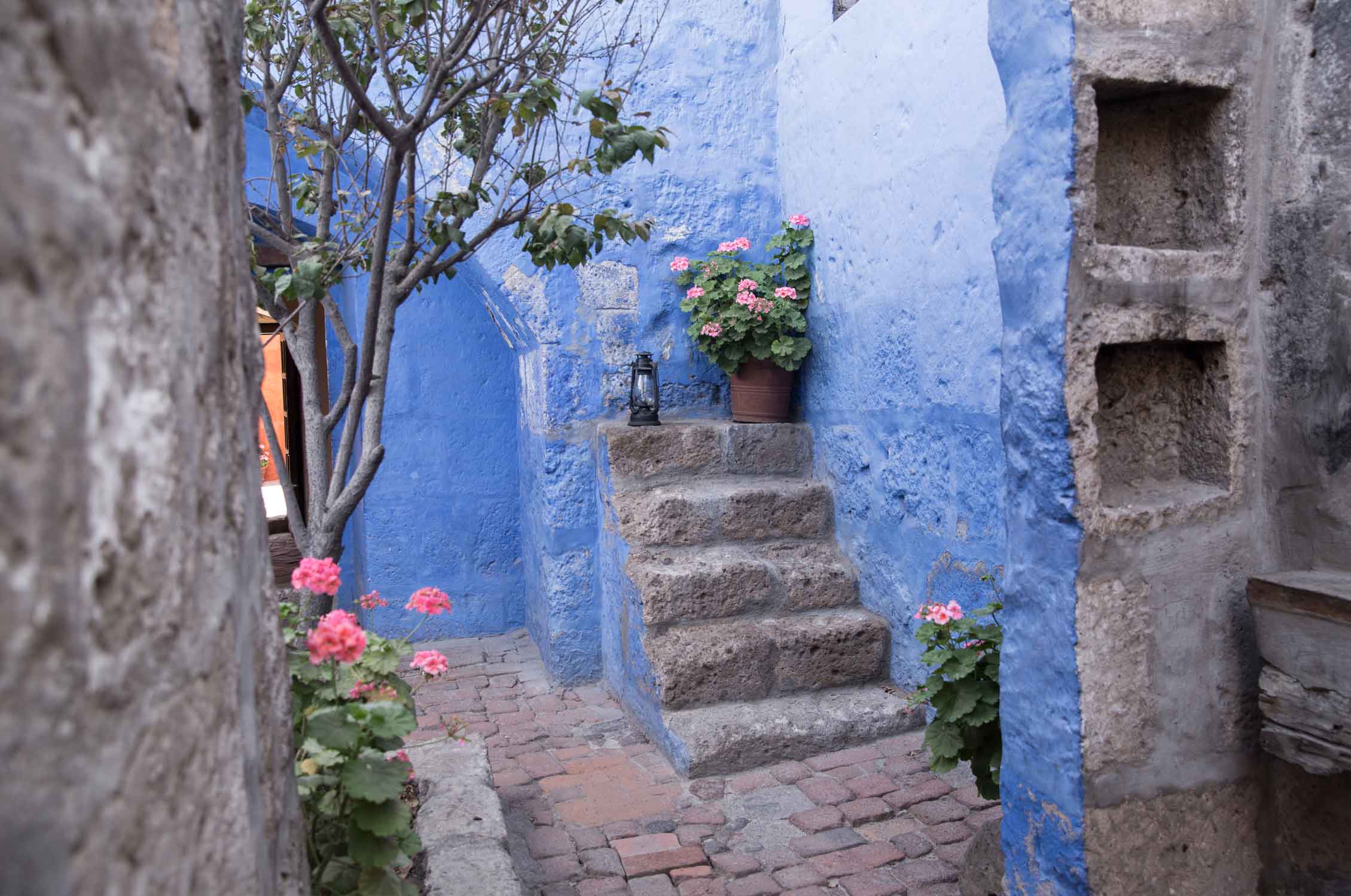 Monastery Arequipa, Peru, Gardening, Garten, Pflanzen, Plants, Outdoor, Draußen, grün, green, grüner Daumen, green Thumb, Kloster