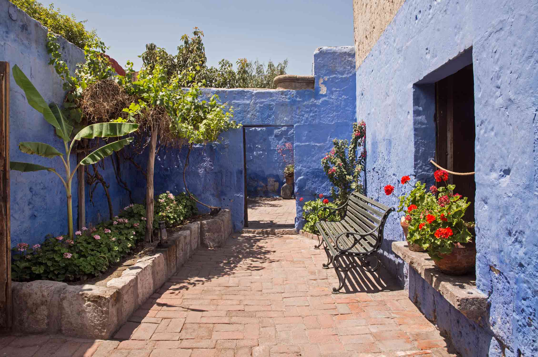 Monastery Arequipa, Peru, Gardening, Garten, Pflanzen, Plants, Outdoor, Draußen, grün, green, grüner Daumen, green Thumb, Kloster