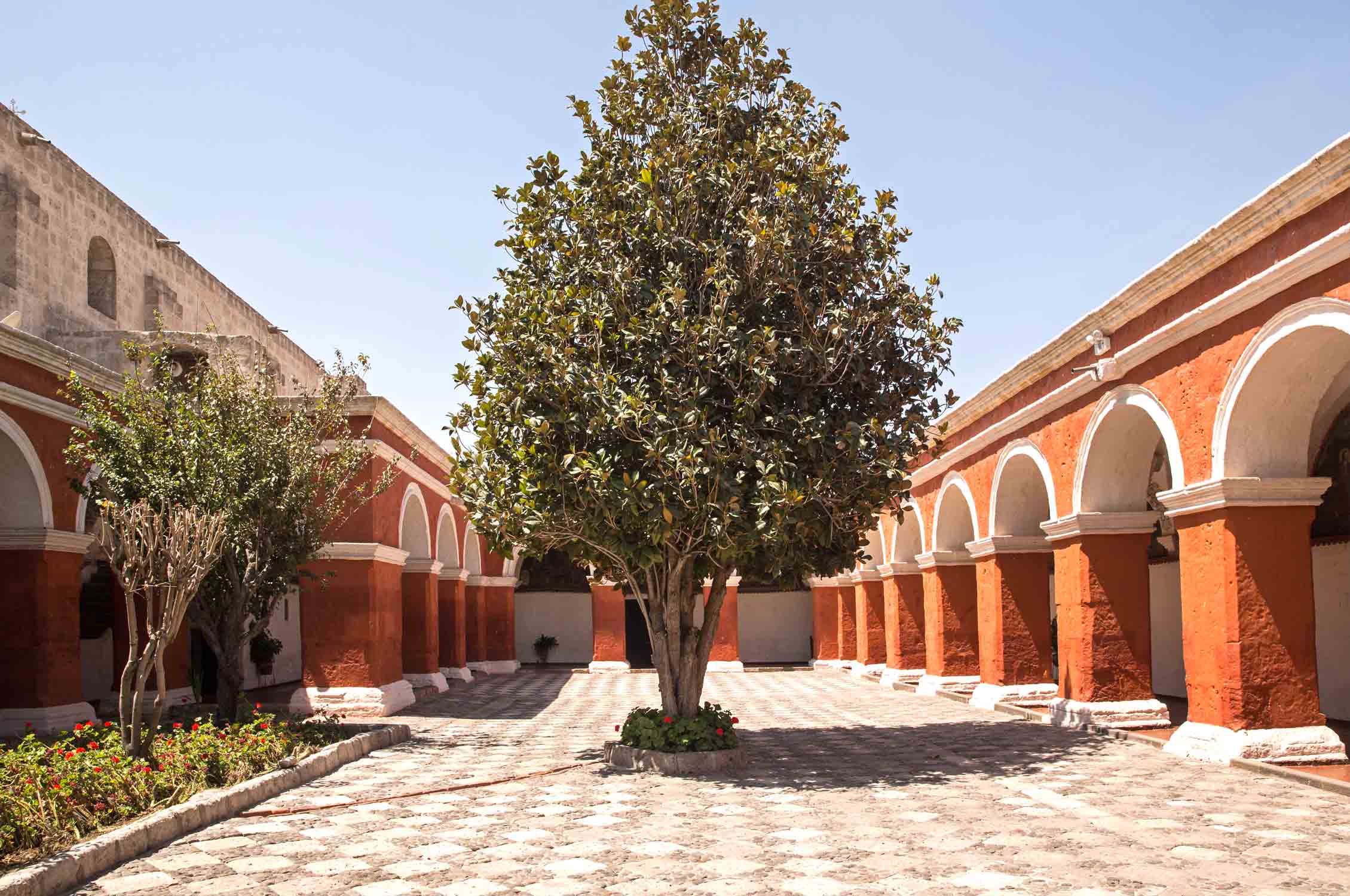 Monastery Arequipa, Peru, Gardening, Garten, Pflanzen, Plants, Outdoor, Draußen, grün, green, grüner Daumen, green Thumb, Kloster