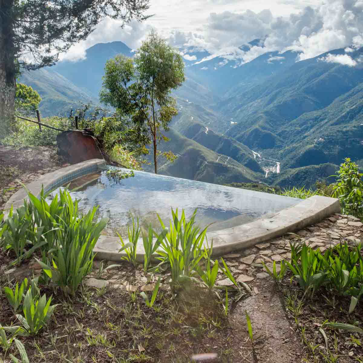 Sigrid´s garden domicile in the Bolivian Andes, Gardening, Garten, Pflanzen, Plants, Outdoor, Draußen, grün, green, grüner Daumen, green Thumb, pond, tropical, tropisch, Tropen, lush vegetation, Paradis, paradise