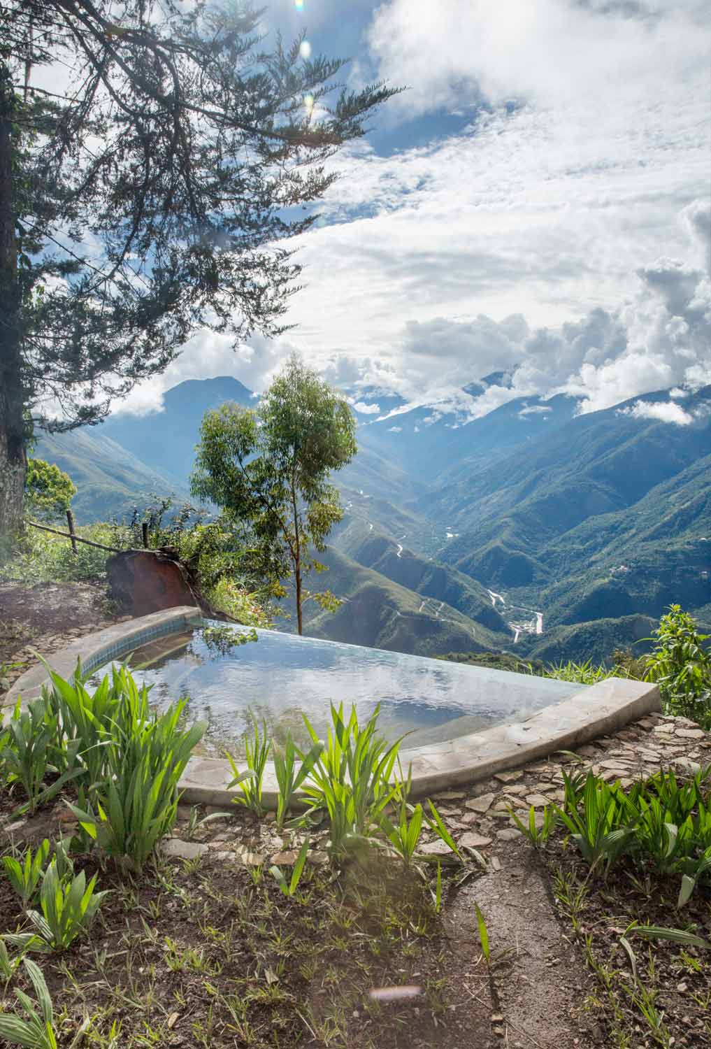 Sigrid´s garden domicile in the Bolivian Andes, Gardening, Garten, Pflanzen, Plants, Outdoor, Draußen, grün, green, grüner Daumen, green Thumb, pond, tropical, tropisch, Tropen, lush vegetation, Paradis, paradise