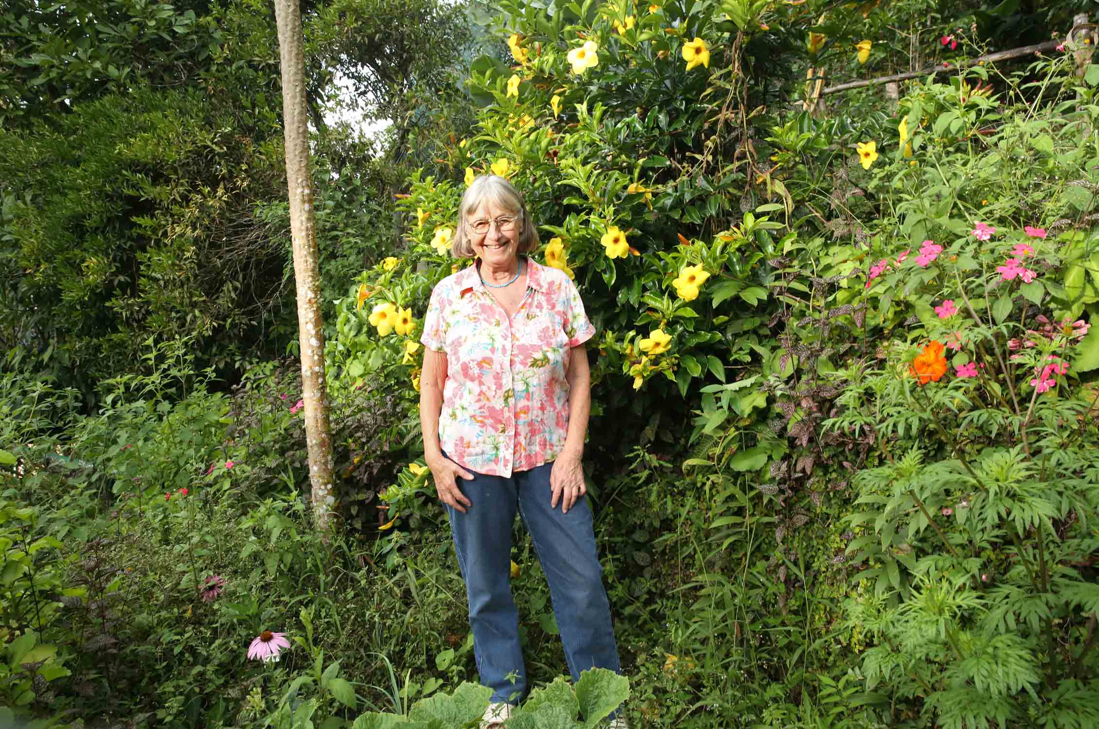 Sigrid´s garden domicile in the Bolivian Andes, Gardening, Garten, Pflanzen, Plants, Outdoor, Draußen, grün, green, grüner Daumen, green Thumb, pond, tropical, tropisch, Tropen, lush vegetation, Paradis, paradise