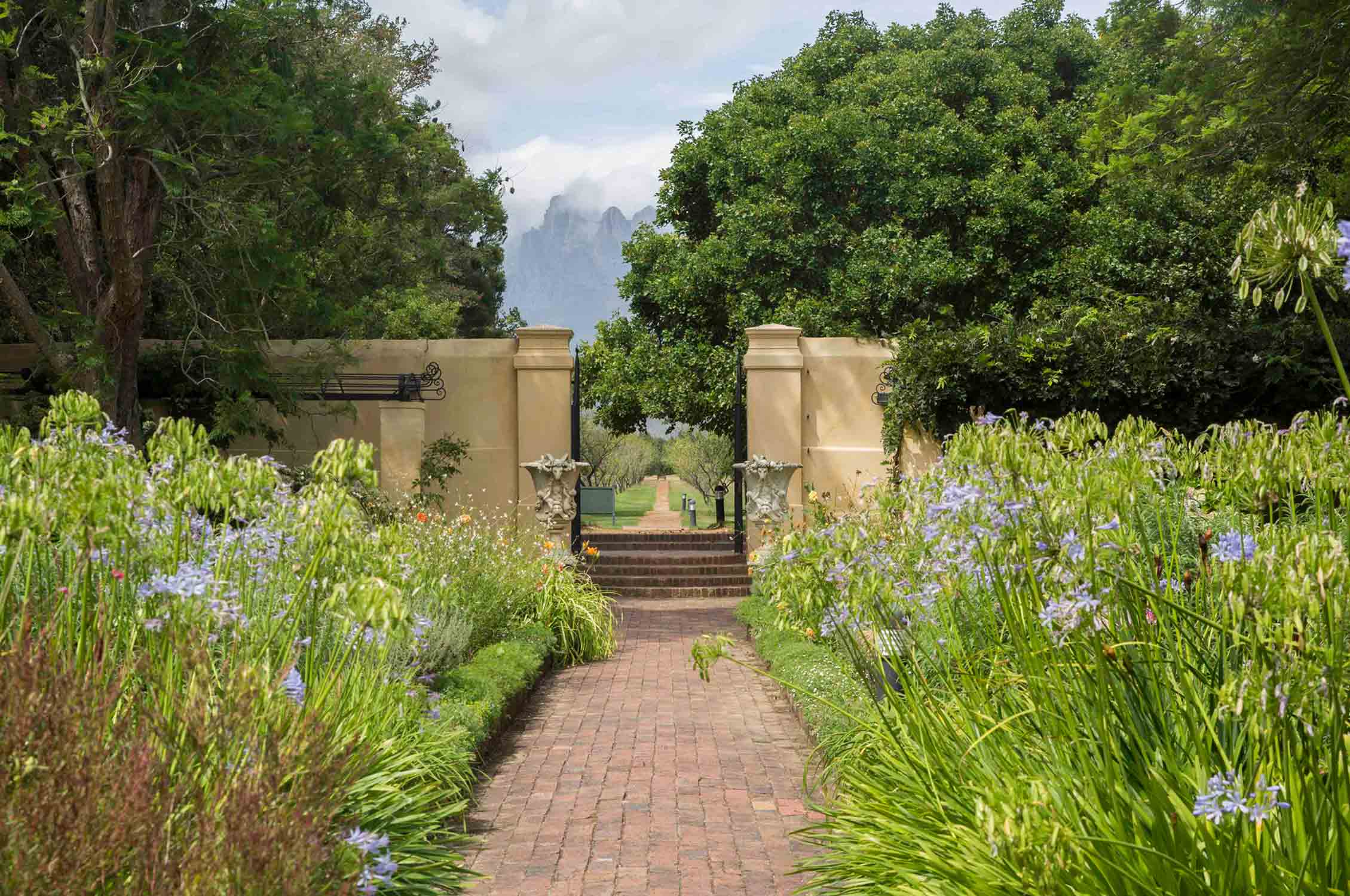 South African Wine Estate, Gardening, Garten, Pflanzen, Plants, Outdoor, Draußen, grün, green, grüner Daumen, green Thumb, Wein, Winzer, Südafrika,  Tradition, Tradition, traditionell, traditional, Natur, nature, natural