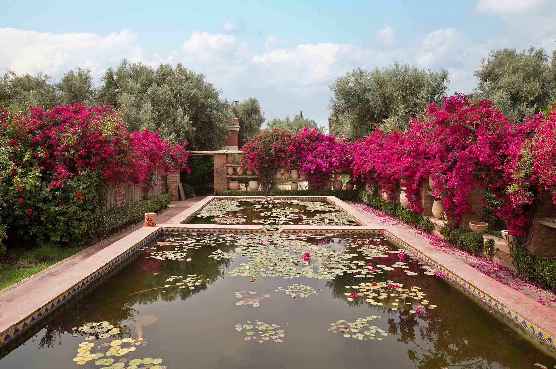 , Gardening, Garten, Pflanzen, Plants, Outdoor, Draußen, grün, green, grüner Daumen, green Thumb, desert, Wüste, Rosen, Rosmarin, Orientalisch, Orient, Marokko,  Tradition, Tradition, traditionell, traditional, Natur, nature, natural, Spa